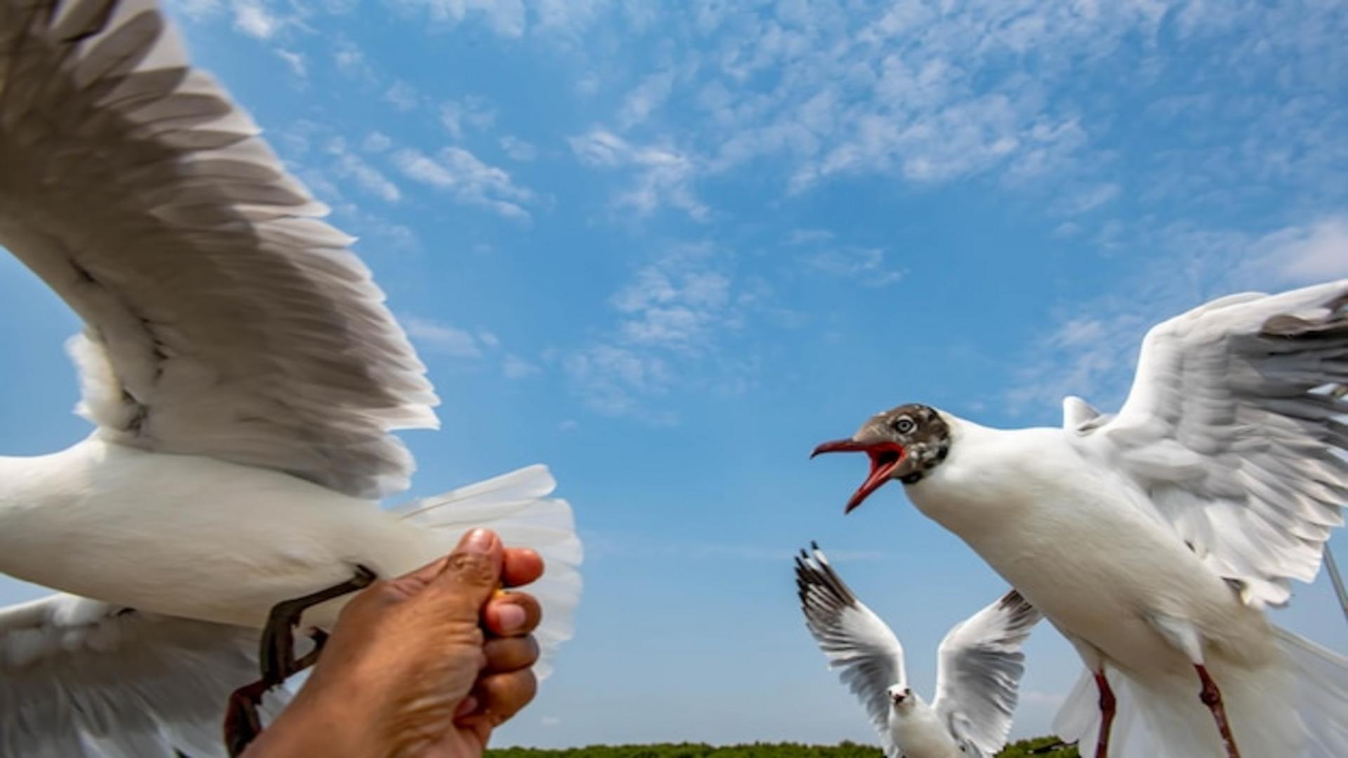 Ile można dostać w Bocian Pożyczki? Poznaj odpowiedź!